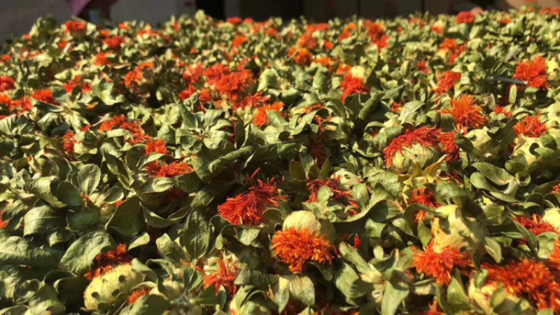 红花果精品成朵红花朵红花果,特级养生花