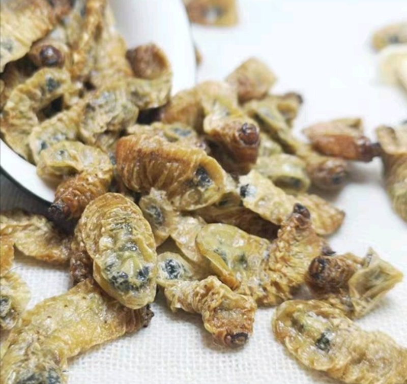 蛴螬,道地药材，质优价实，品质保证，药典标准一公斤起批