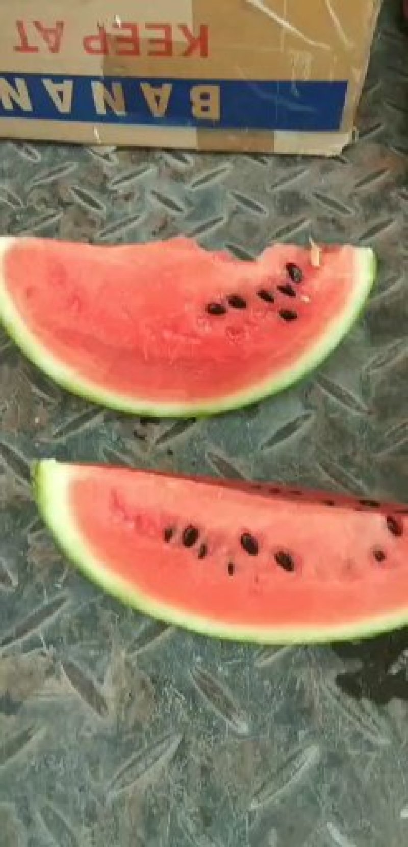 宁夏沙漠小西瓜