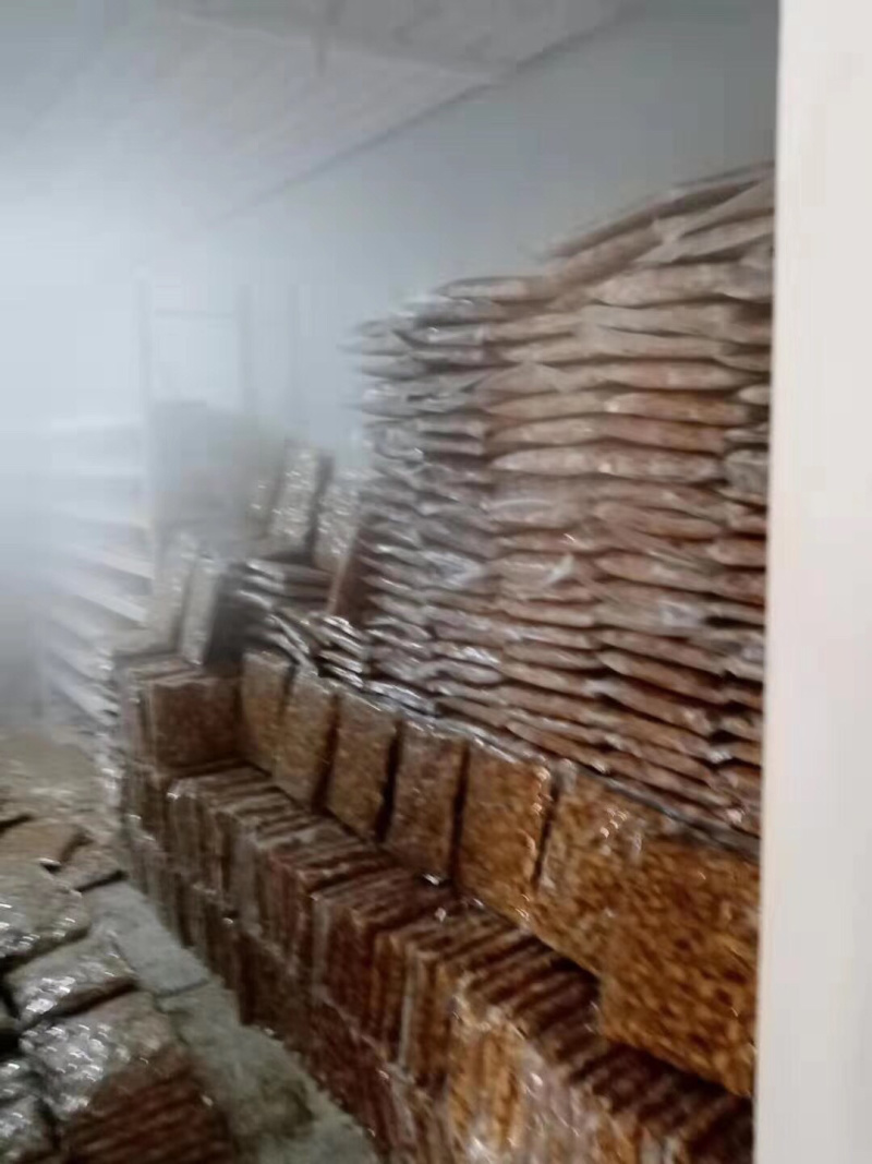 （热销）白玉蜗牛种批发养殖包回收包技术全国发货质量保证