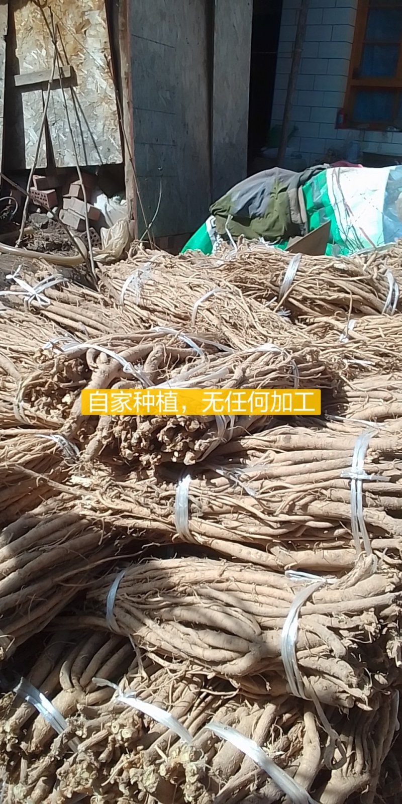 当归，高原自产，含量丰富，农家肥种植，无任何添加