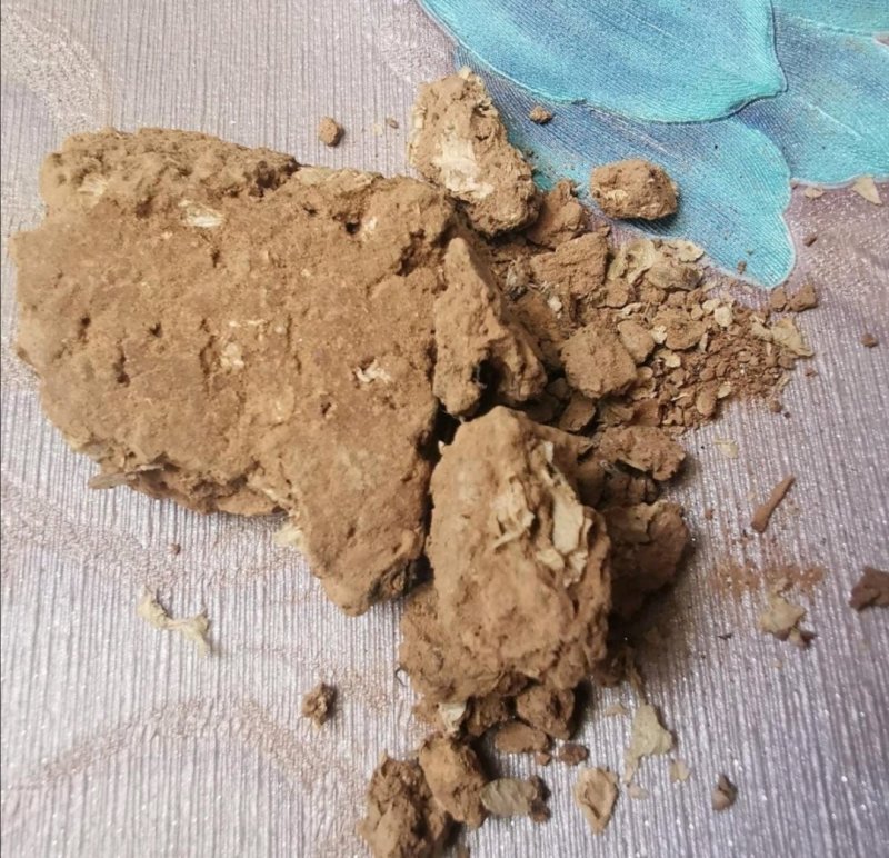 芜荑,产地河北，道地药材，质优价实，品质保证，药典标准