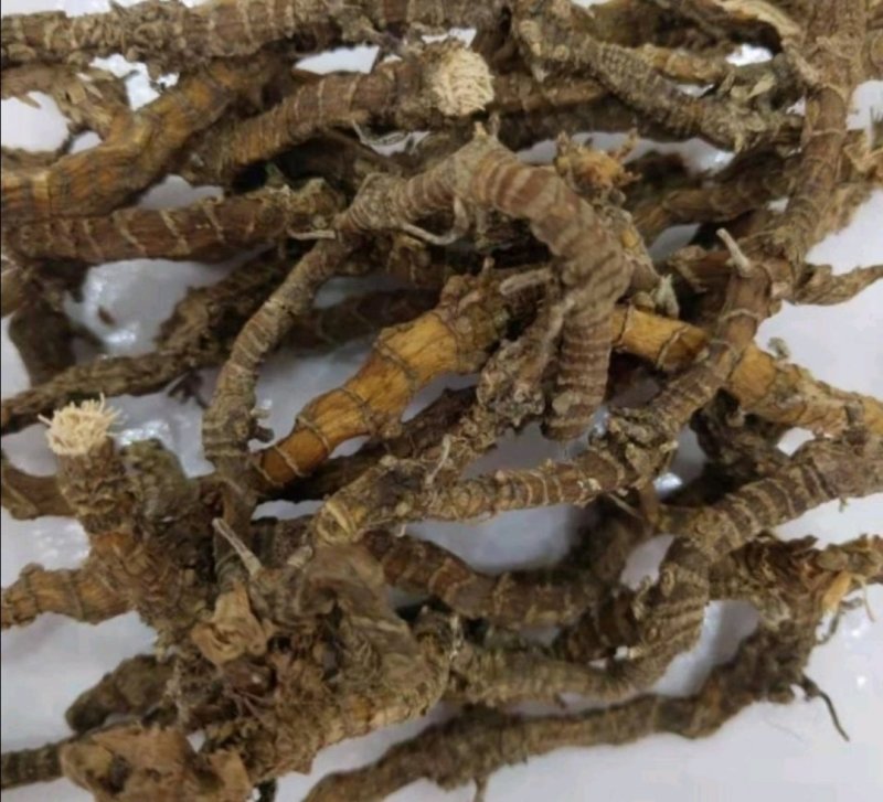 蜘蛛抱蛋，产地贵州道地药材，质优价实，品质保证，药典标准