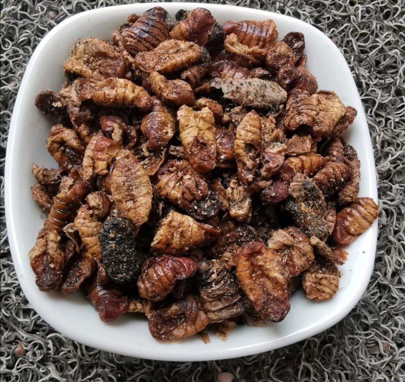 蚕蛹，道地药材，质优价实，品质保证，药典标准一公斤起批