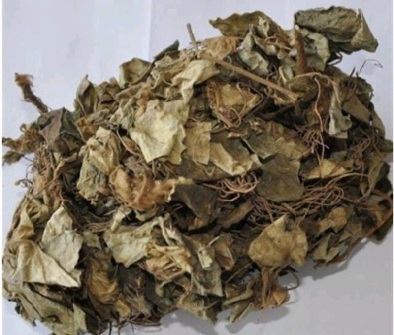 兔儿伞，道地药材，质优价实，品质保证，药典标准一公斤起批