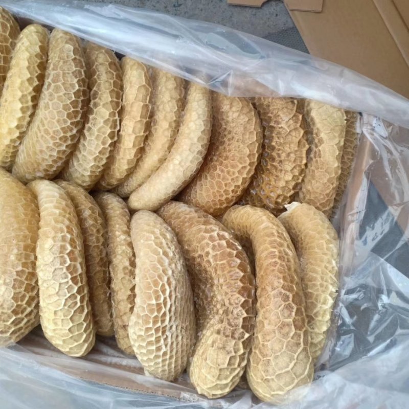 纯干金钱肚，质量保证，厂家发货，按客户要求加工量大从优