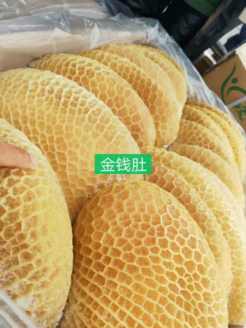 纯干金钱肚，质量保证，厂家发货，按客户要求加工量大从优