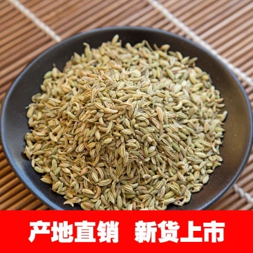 小茴香新货小茴香产地直销品质保证色香俱全