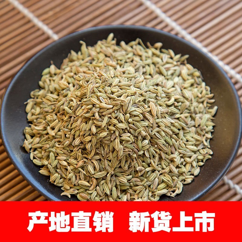 小茴香新货小茴香产地直销品质保证色香俱全