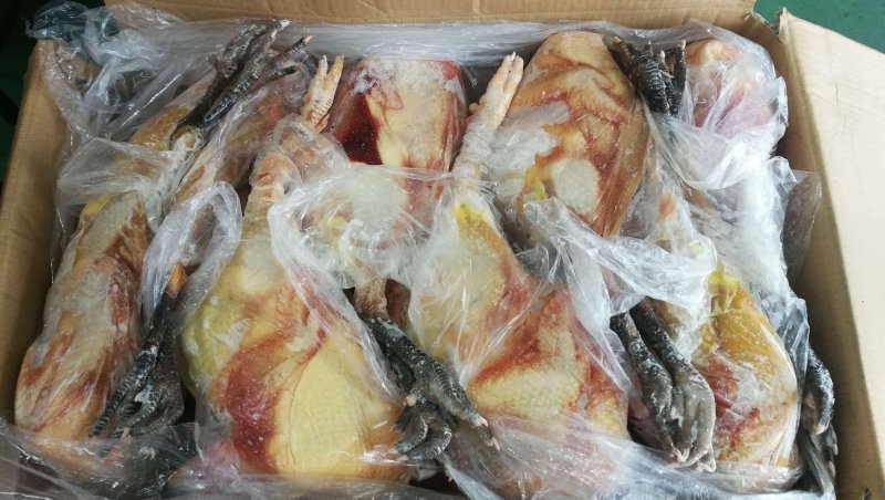 麻鸡批发，乌鸡批发，大冠公鸡，麻鸡价格，乌鸡量大优惠