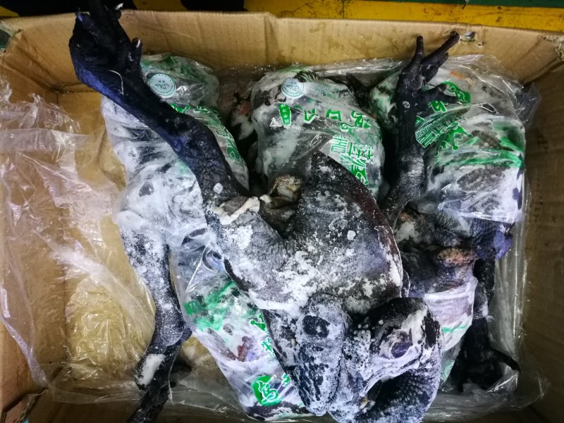 麻鸡批发，乌鸡批发，大冠公鸡，麻鸡价格，乌鸡量大优惠