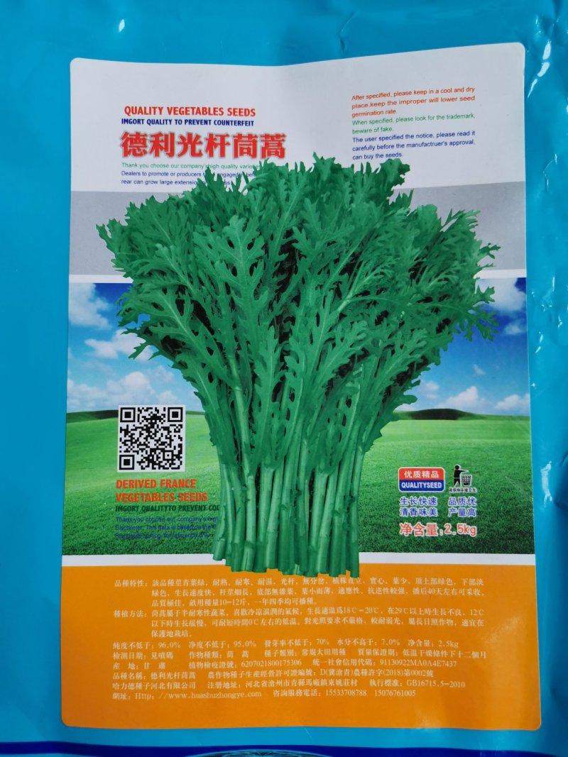 德利光杆茼蒿种子小叶茼蒿种子5斤装