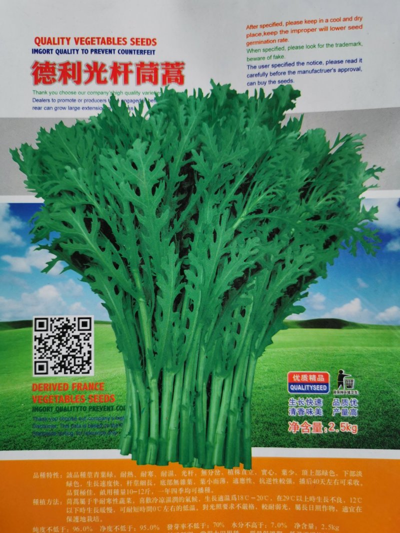 德利光杆茼蒿种子小叶茼蒿种子5斤装