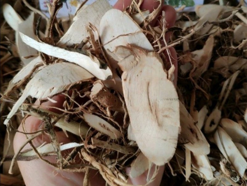 鸟不企，道地药材，质优价实，品质保证，药典标准一公斤起批