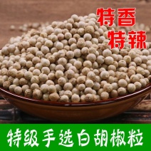 白胡椒海南正宗白胡椒颗粒无硫无漂白质量保证