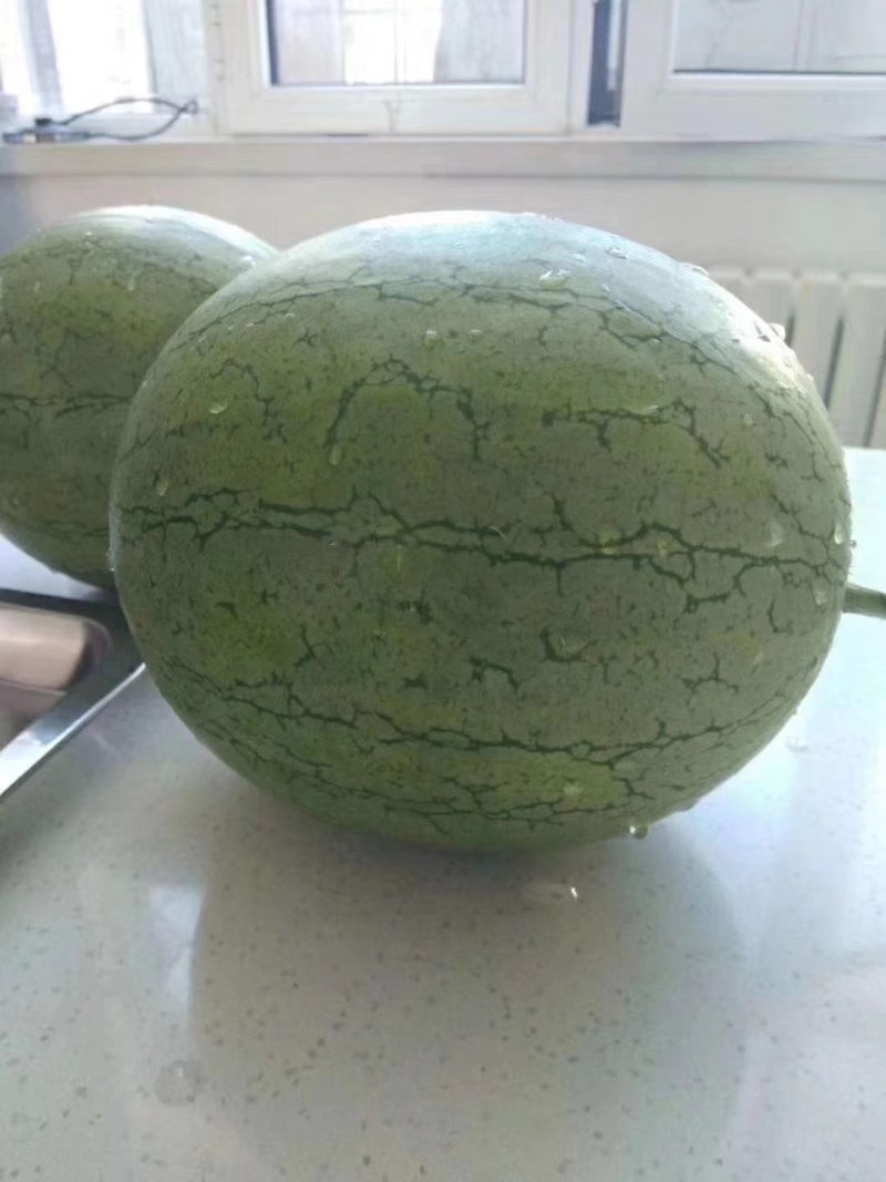 精品小吊瓜