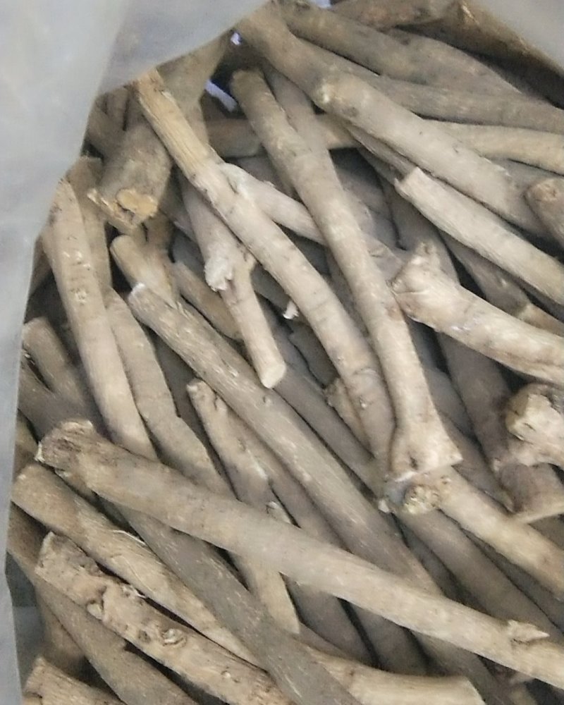 甘肃北芪原条可切片