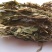 见血清，道地药材，质优价实，品质保证，药典标准，一公斤起
