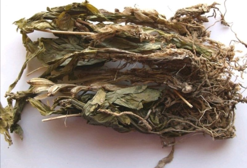 见血清，道地药材，质优价实，品质保证，药典标准，一公斤起