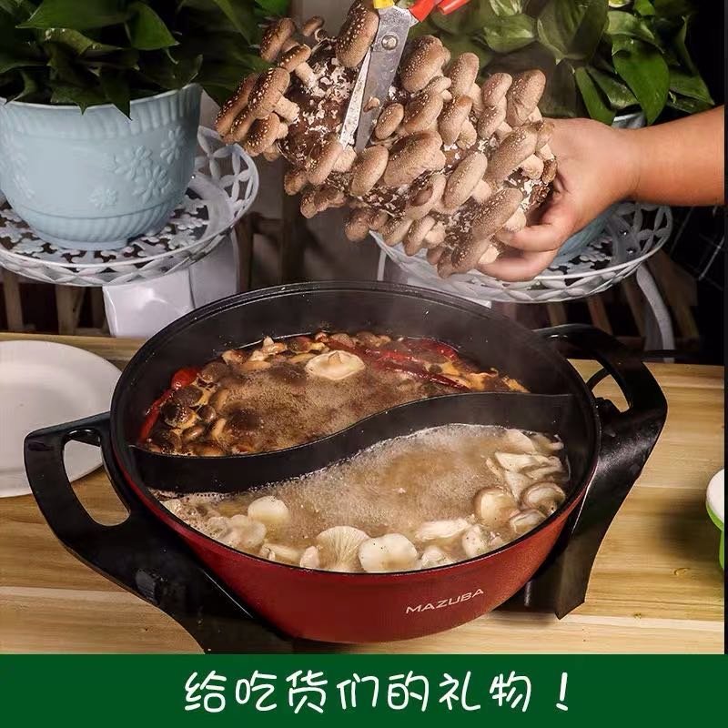 香菇菌种大棚种植菌种家庭种植菌种菌包菌袋