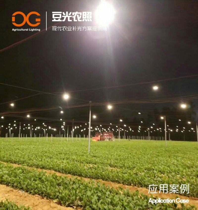 菊花补光灯/植物生长灯/黄莺切菊白菊长日照处理灯15W