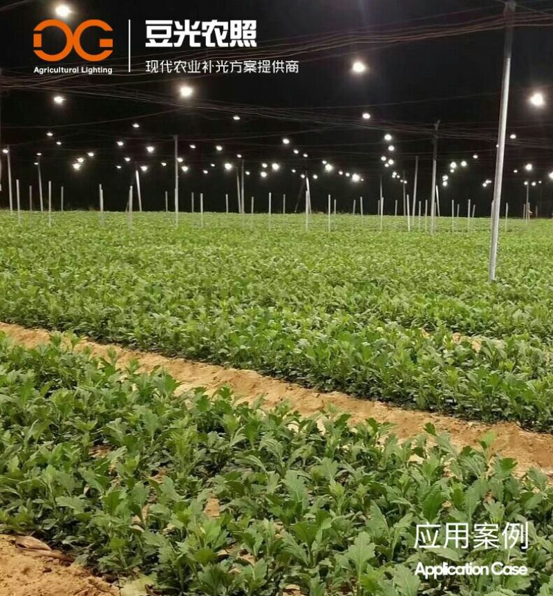 菊花补光灯/植物生长灯/黄莺切菊白菊长日照处理灯15W