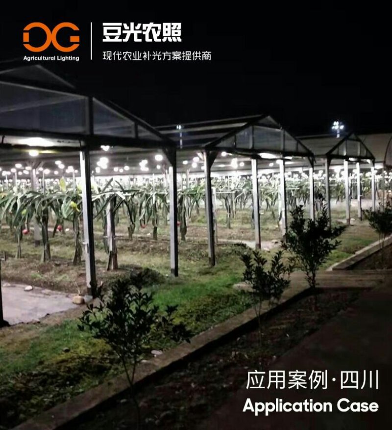 火龙果补光灯反季催花增产灯植物生长灯飞碟球泡灯