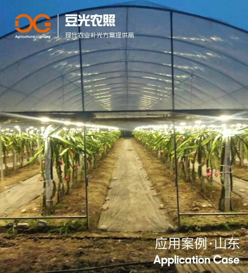 火龙果补光灯反季催花增产灯植物生长灯飞碟球泡灯