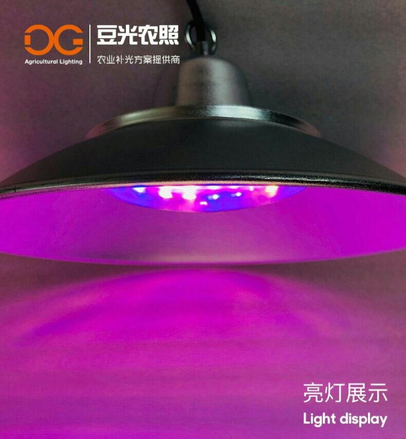 葡萄光照专用灯/植物生长补光灯/LED红蓝配比全光谱铝壳