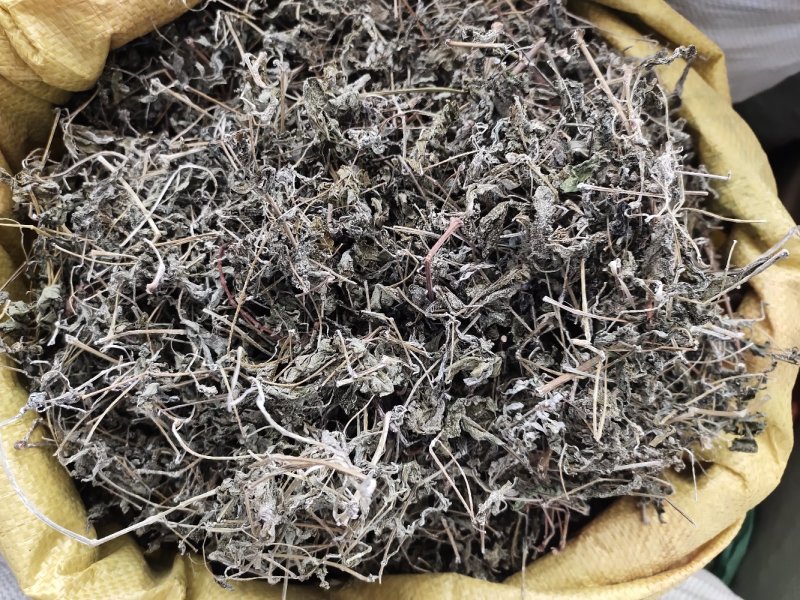 溪黄茶新货嫩芽细梗溪黄草茶