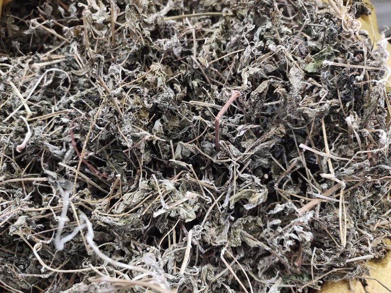 溪黄茶新货嫩芽细梗溪黄草茶