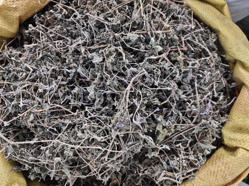 溪黄茶新货嫩芽细梗溪黄草茶