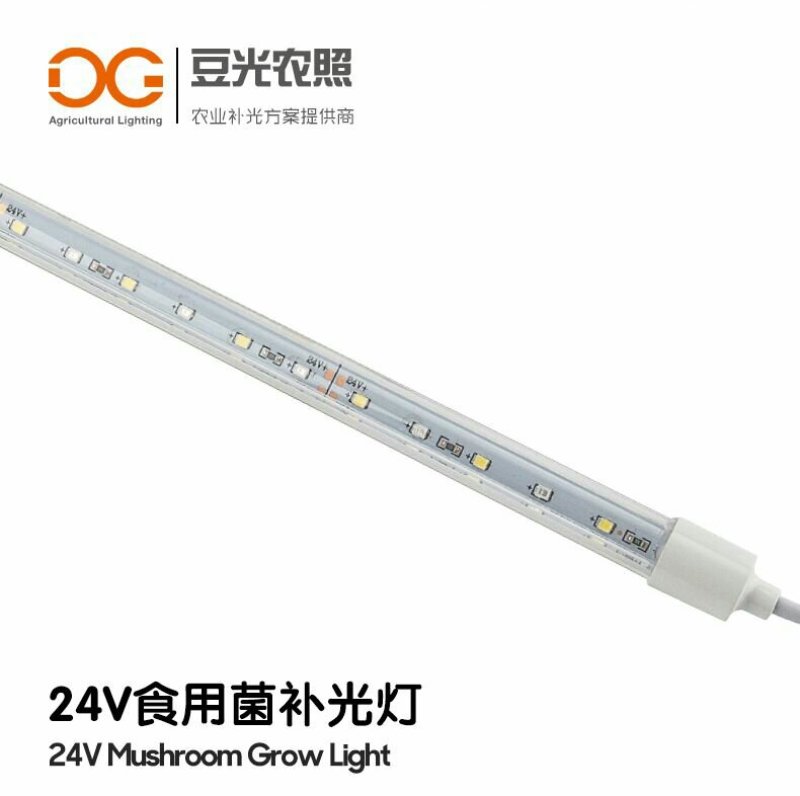 食用菌补光灯蘑菇助长灯催菇出菇期蓝光灯子实体生长灯