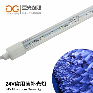食用菌补光灯蘑菇助长灯催菇出菇期蓝光灯子实体生长灯