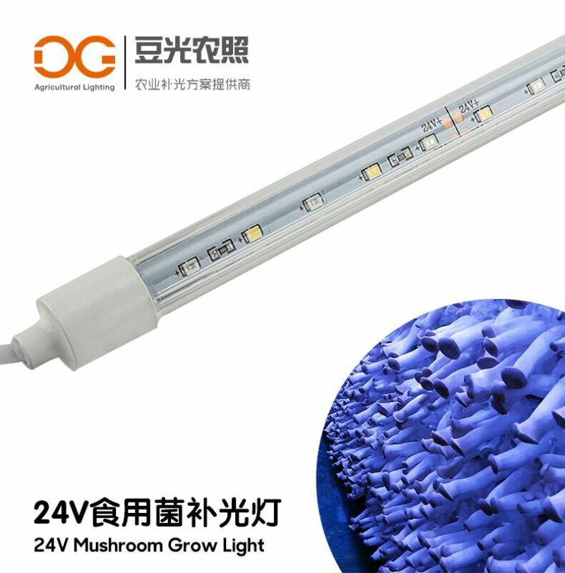 食用菌补光灯蘑菇助长灯催菇出菇期蓝光灯子实体生长灯