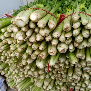 大量代发，代收优质芹菜