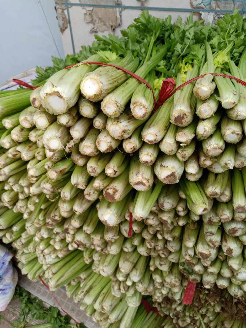 大量代发，代收优质芹菜