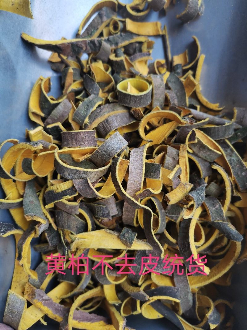黄柏四川无硫净货规格齐全一公斤起发货