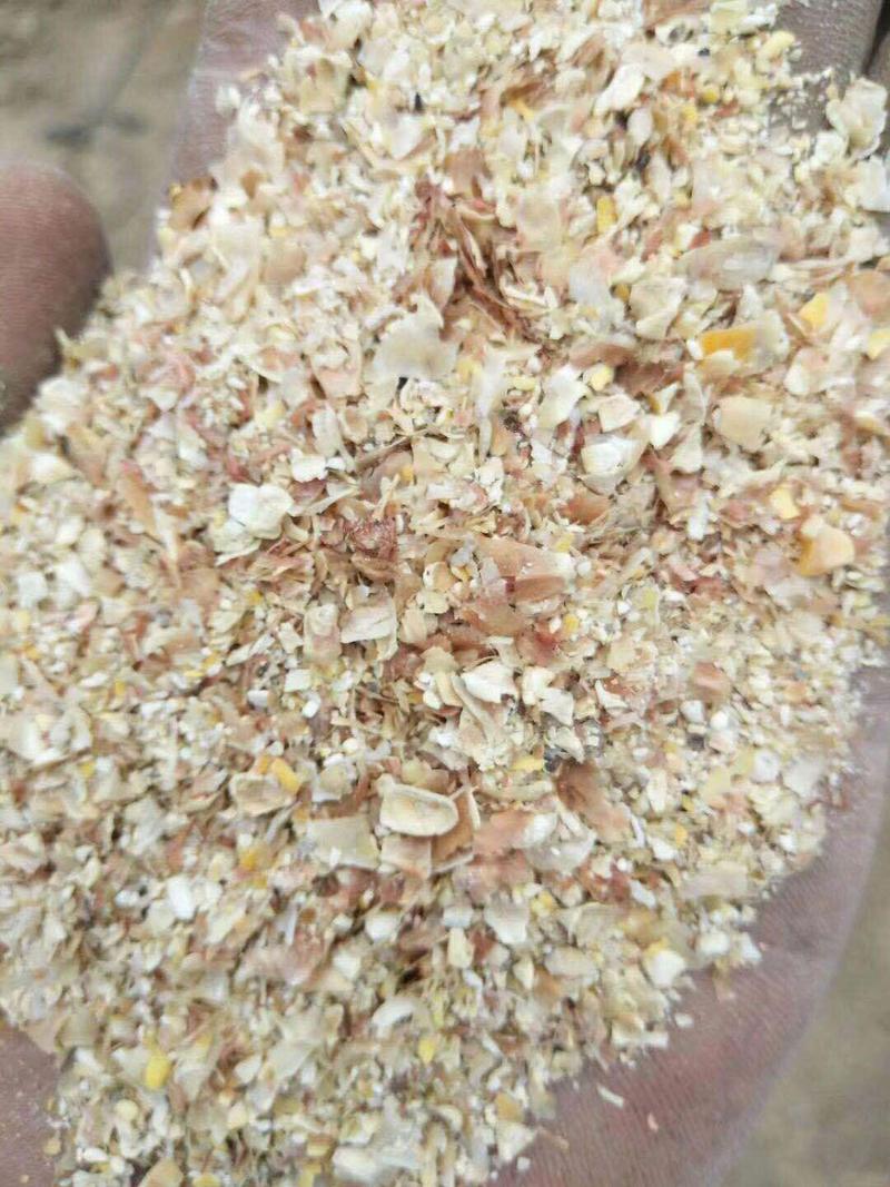 供应大片玉米皮含玉米粒适合养羊用价位低质量优