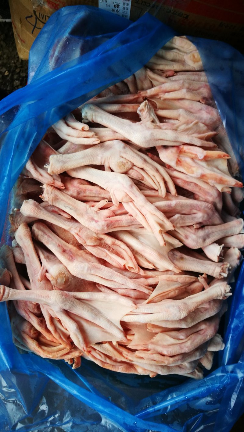 冷冻大鹅掌，鹅掌批发，鹅掌价格，鹅爪工厂