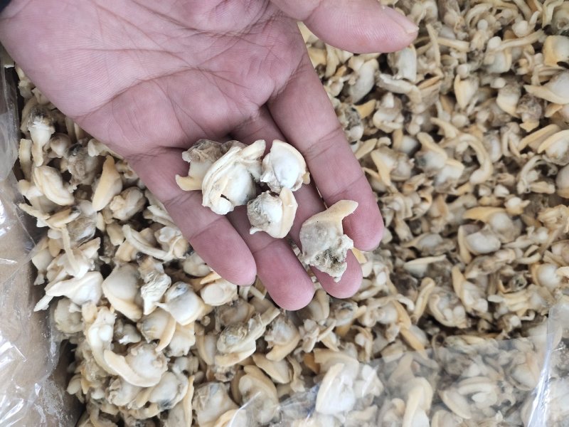 一斤300粒原浆花蛤肉干冰原汁吐沙干净花蛤肉