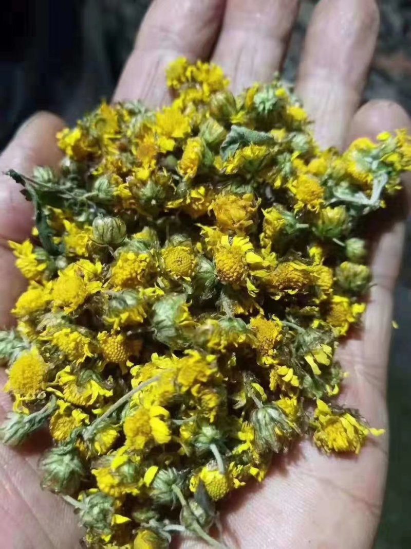 野菊花新货出来了湖北野菊花产地，自己加工，保证质量新鲜