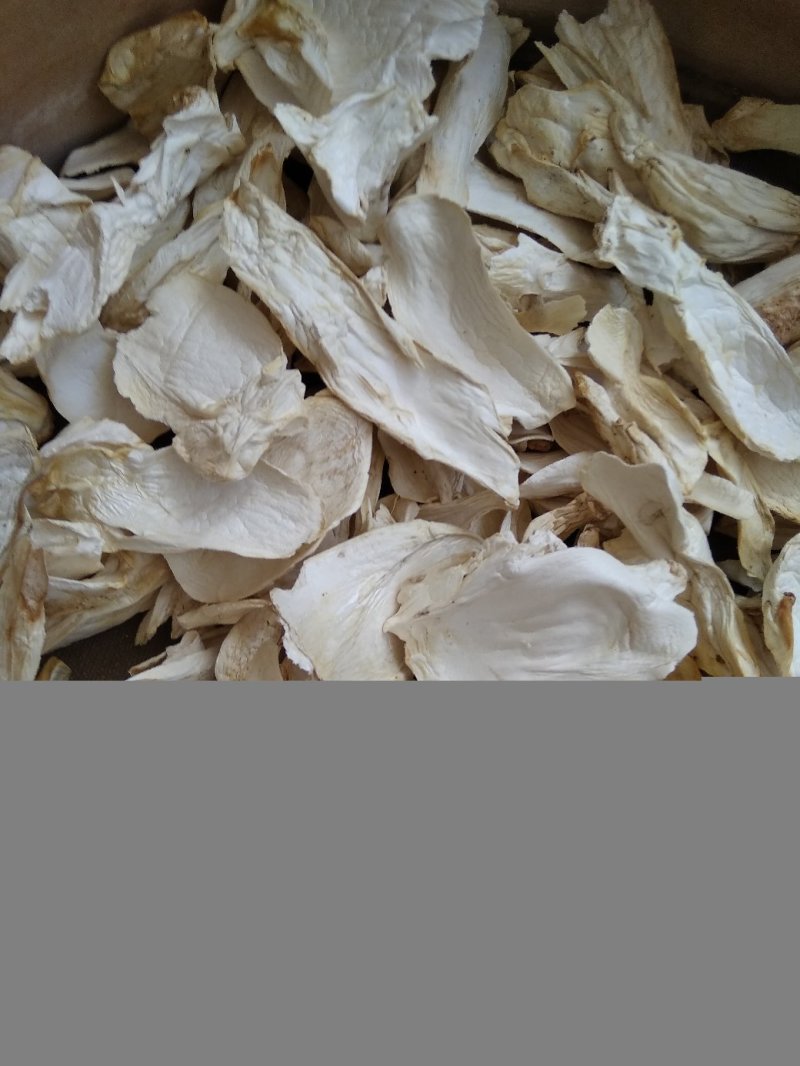 杏鲍菇大片中块小片产地批发园区一手货源量大价优