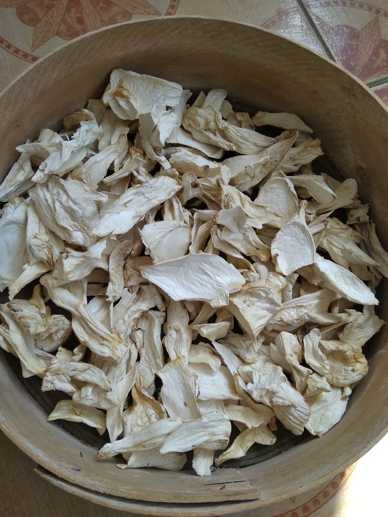 杏鲍菇大片中块小片产地批发园区一手货源量大价优