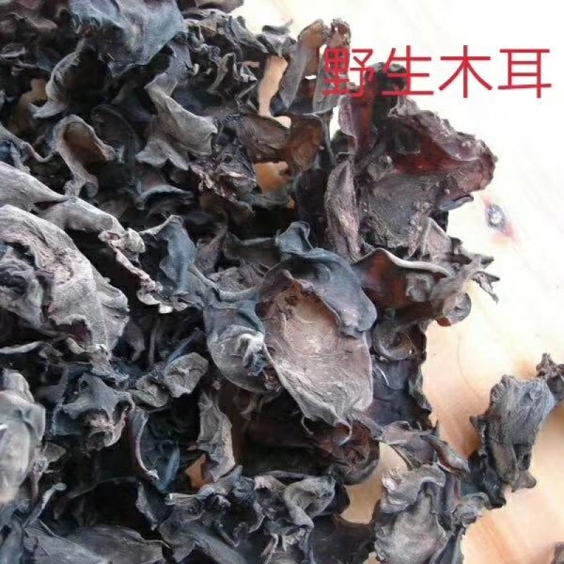 野生木耳欢迎各地客商合作共赢