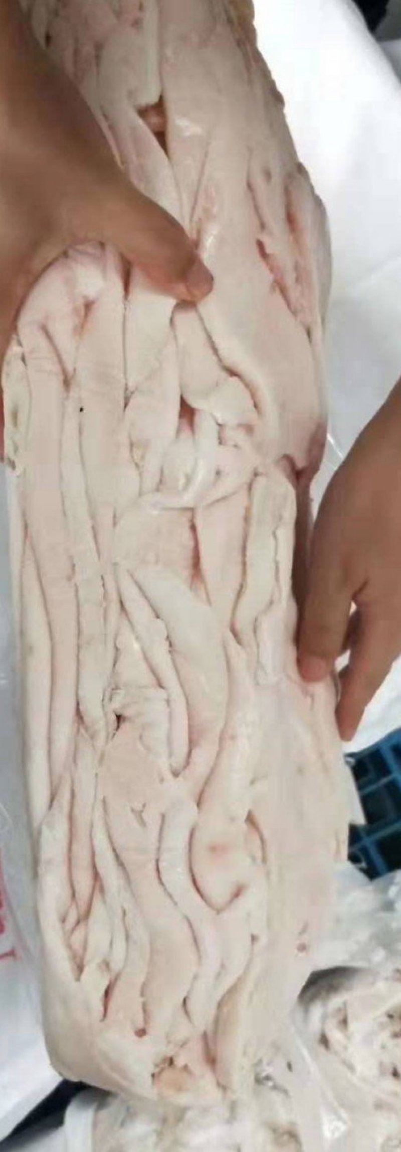国产肥猪精修薄肥膘肉