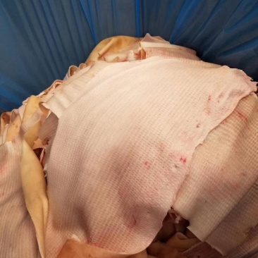 进口国产肥猪无毛去油肥猪腹皮