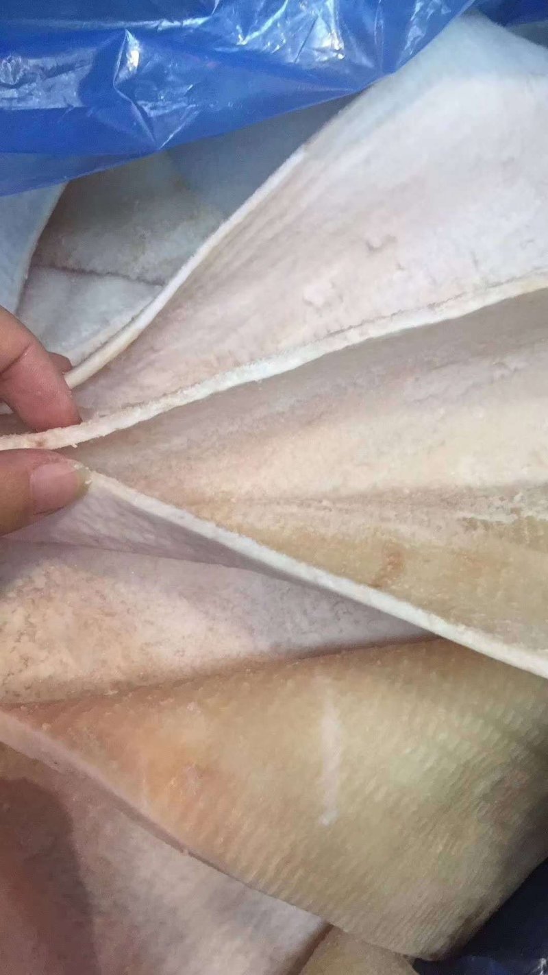 进口无毛去油肥猪脊背皮