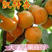 （杏）陕西大棚凯特杏大量上市产地直发，大黄杏，口感香甜