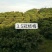 蓝花楹，桂花，杨梅，洋紫荆